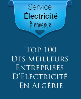 Top 100 entreprises Algérienne d'éléctricité